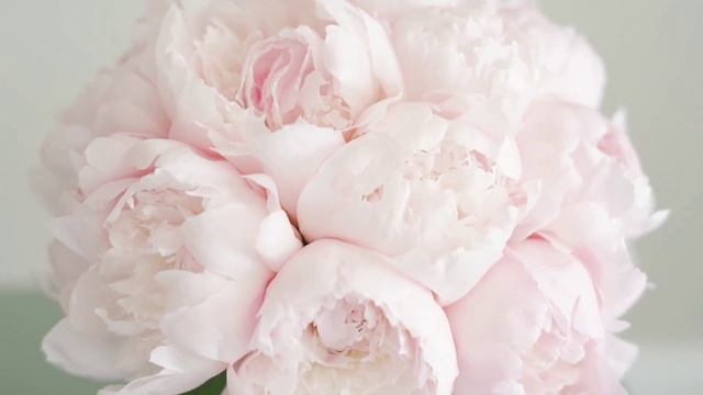 video_20211115_134818_edit