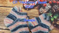 СП "Носочки с Таней 2025" Отчёт за январь, участник 10