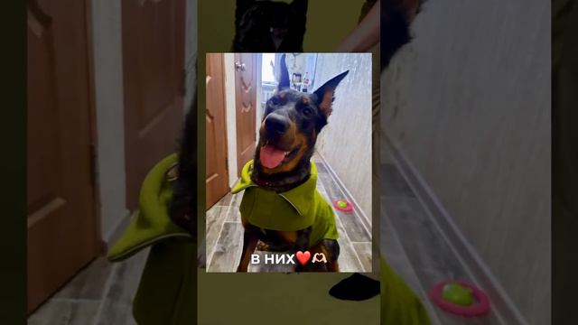 НАША УНИКАЛЬНОСТЬ- ВАШИ❤️