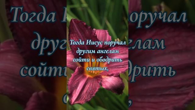 Как сильно и нежно любит Бог Свой народ! | Эллен Уайт о Боге, спасении, вечности