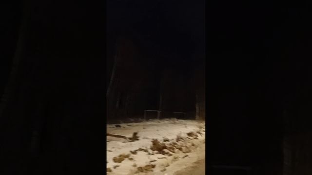 scene_output.mp4
