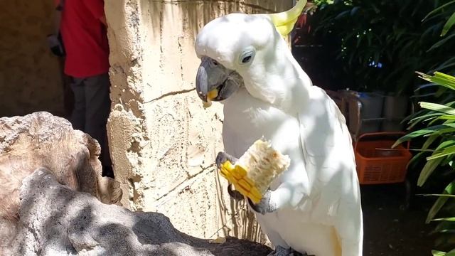 lovely animals @ hidden mini zoo, bali