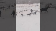 Приглашаем на постой!