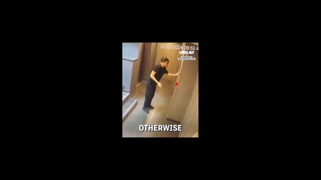Свежие приколы, смешные видео и ситуации, забавные видео с животными