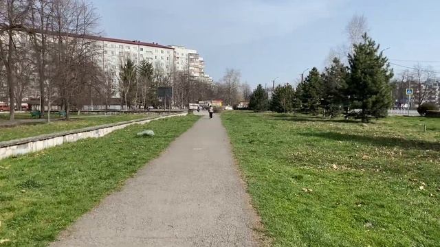 Беговая практика более 40 лет. Выводы.