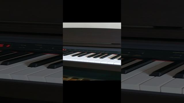 Пианино цифровое ORLA CDP 10