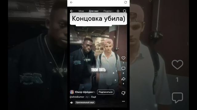 мемы