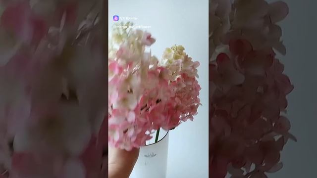 clip38863343_456240068.mp4