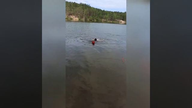 Tcenniy Prize Aurum Ray 20m.