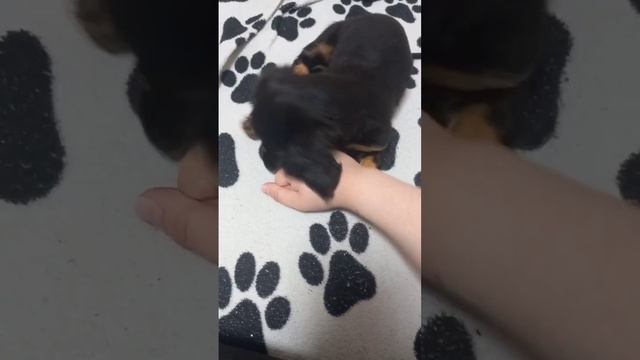 Совсем скоро на мое канале будет выходить VLOGi так что подписывайтесь что бы не пропустить их