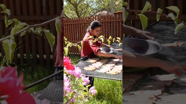 Удивительные рецепты приготовления рыбы от шеф-повара Вичека