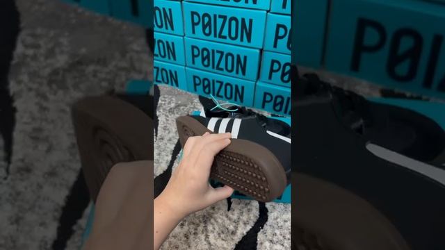 VID_20250118_133739_927.mp4