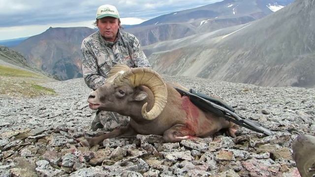 Antal Beck about his successful hunt for Kamchatka Snow Sheep with Profi Hunt