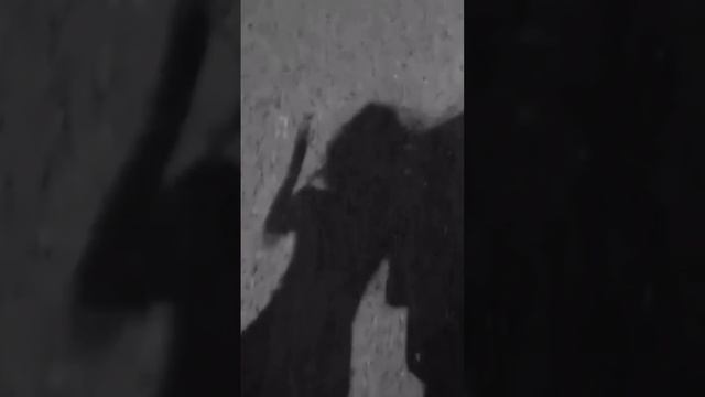 scene_output.mp4