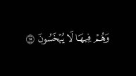 {من كان يريد الحياة الدنيا وزينتها}🍁كروما شاشة سوداء قرآن كريم🍁 القارئ ماهر المعيقلي🍁سورة هود