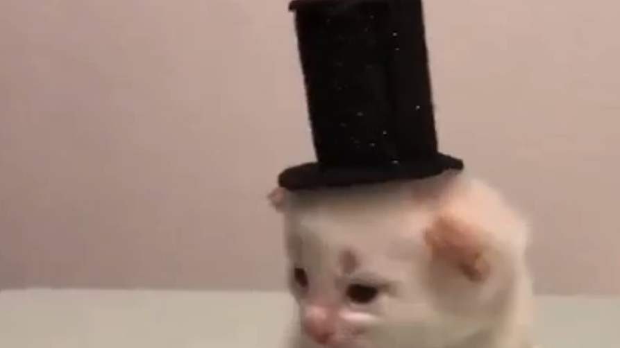 ﹥=﹤