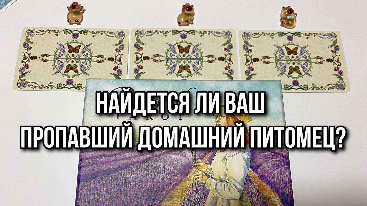 НАЙДЕТСЯ ЛИ ВАШ ПРОПАВШИЙ ДОМАШНИЙ ПИТОМЕЦ_ гадание на таро Tarot Reading