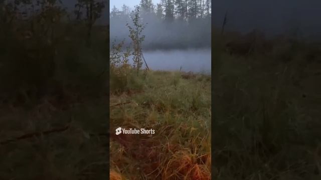 Лето 2021! Норильск! Рыбалка! Ночь! Костры!!!