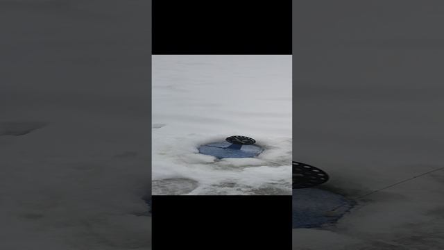 Рыбалка зимой на жерлицы