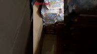 Wholesale Price Of Krackjack Biscuit wow tasty