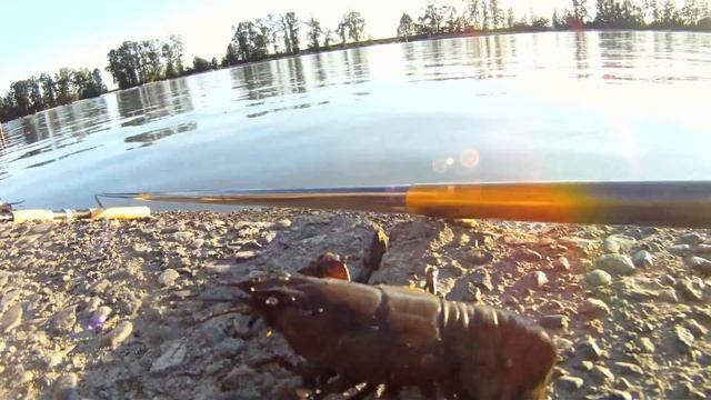 Fraser River Cray Fish Worm.mp4