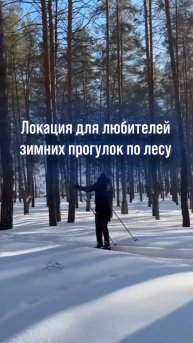 ⛷Локация для любителей лыжных прогулок по лесу рядом с нашим поселком