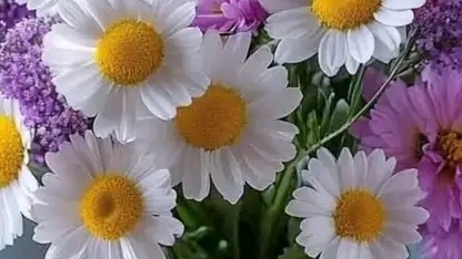 18-01-2025