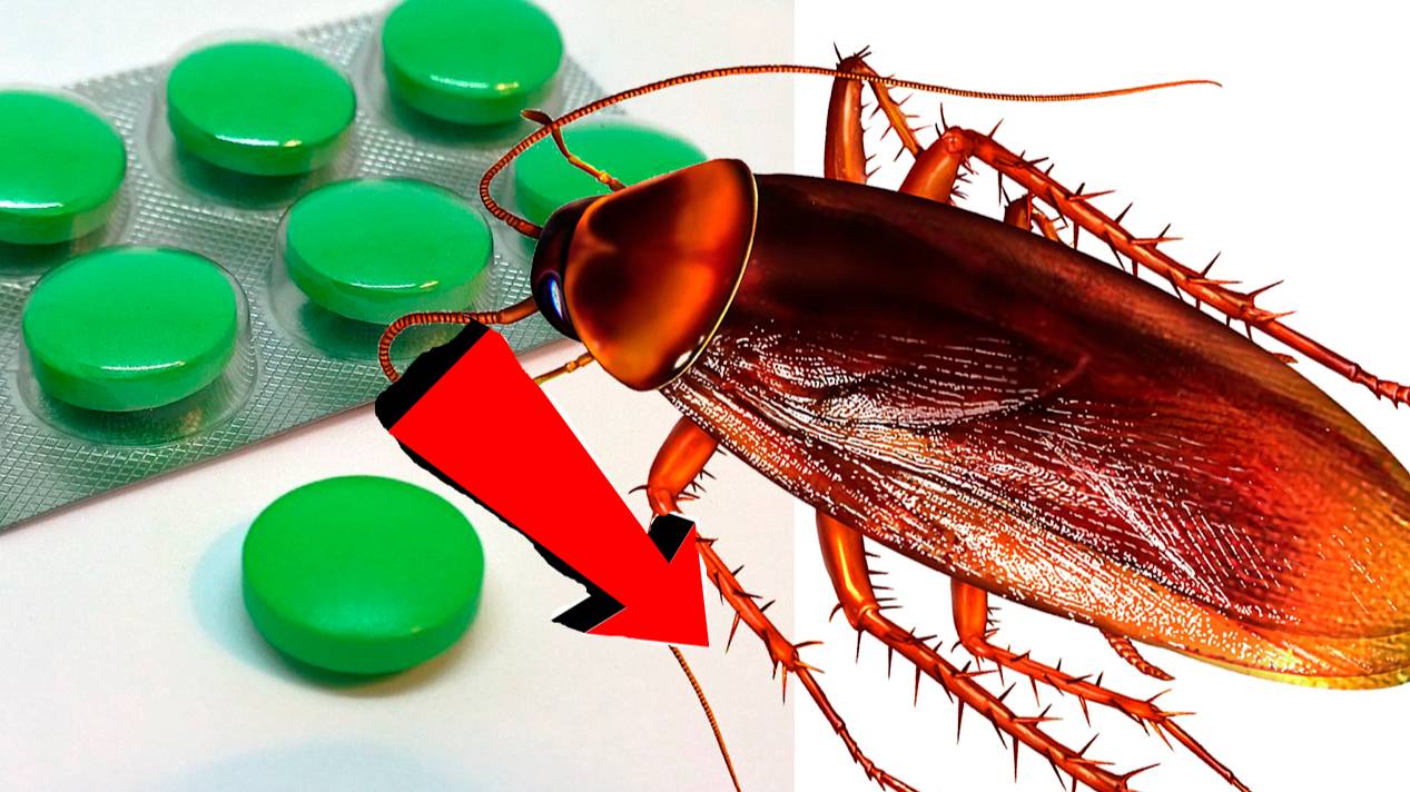 Как быстро избавиться от тараканов За 3 Секунды!