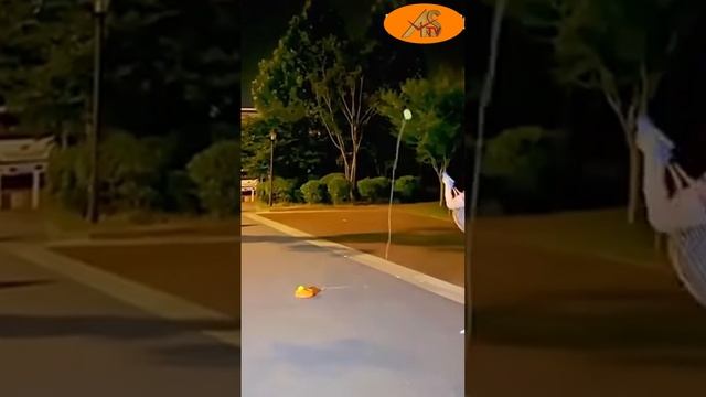 ASTV. 5 Genius DIY Tools from Common Items