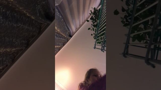 Соня блогер и хомяк