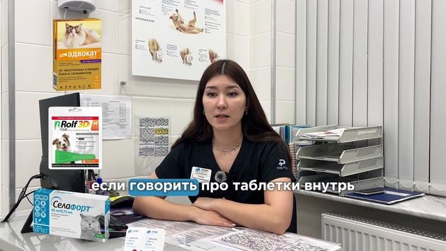 Защита питомцев от паразитов: советы ветеринара!