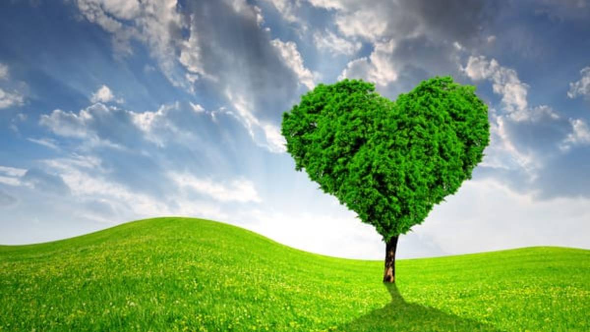 Практика Сердечной сонастройки в. моменте "Здесь и сейчас".