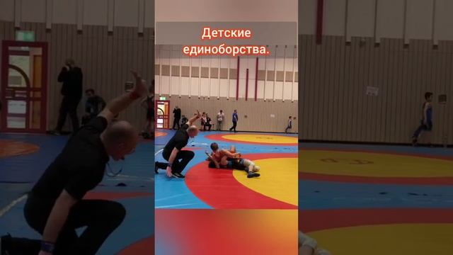 ДЕТСКИЕ СПОРТИВНЫЕ ЕДИНОБОРСТВА. ШОРТС.