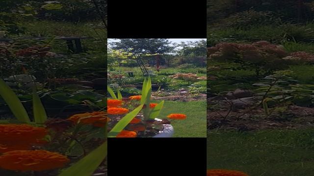 1000033857.mp4