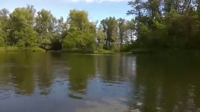 Тайна затерянных джунглей 2