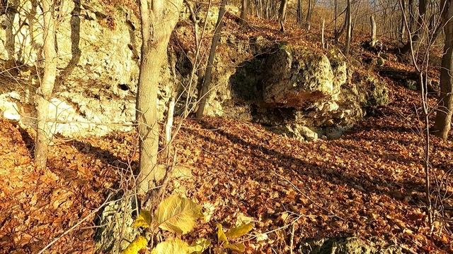 Осенний релакс. Solo