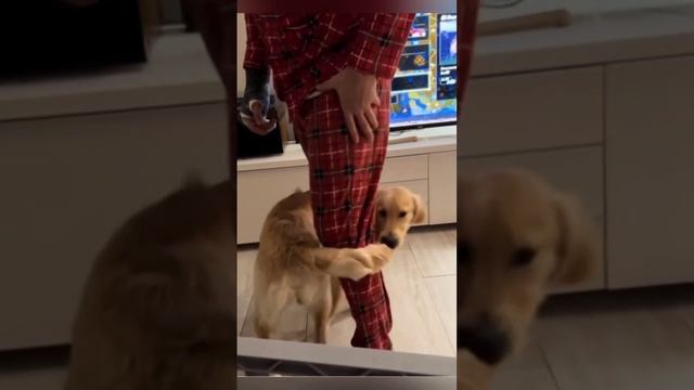 1000071704.mp4