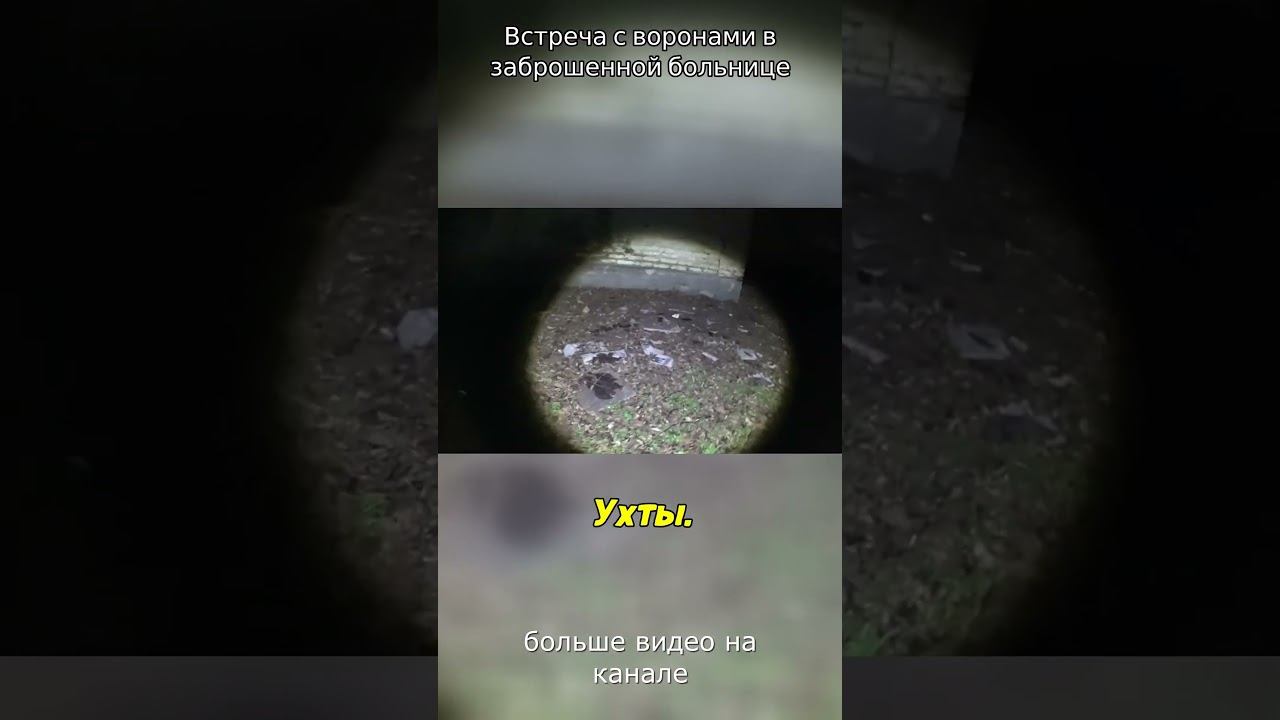 ПРОДОЛЖЕНИЕ ТУТ  ! ЗАХОДИ И ПОДПИСЫВАЙСЯ!!