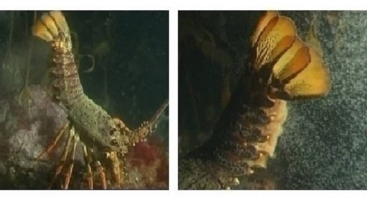 1-1-2 Притяжение Земли Приливы Аппаратурная индикация