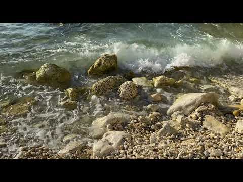Берег Моря с волнами в солнечный день с прозрачной водой, с камушками, с морским шумом