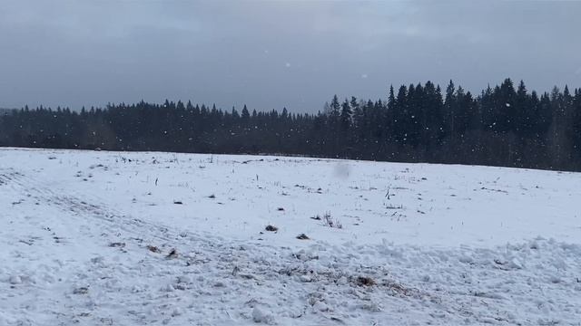 Катание на упряжке в день рождения доченьки