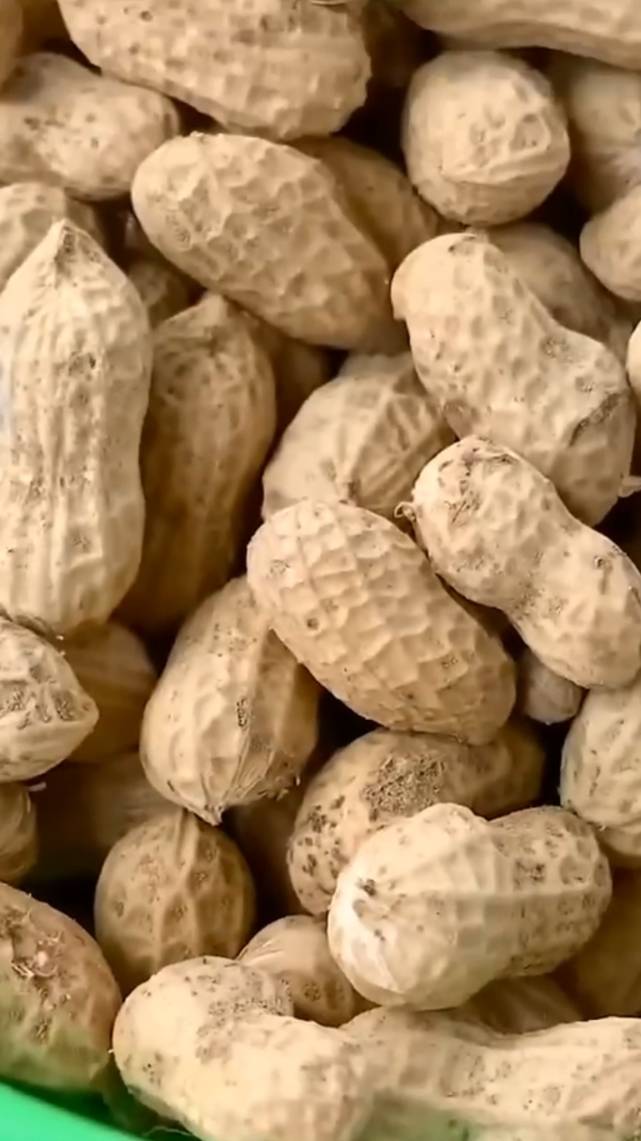 🌱ВЫРАЩИВАНИЕ АРАХИСА в домашних условиях! #shorts #арахис #советы