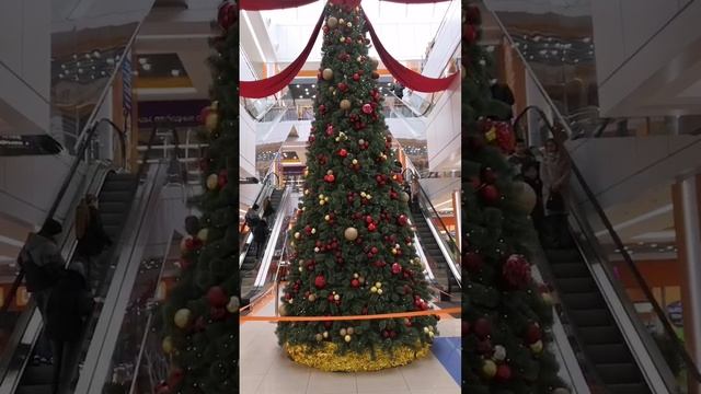 VID_20250118_170502_003.mp4