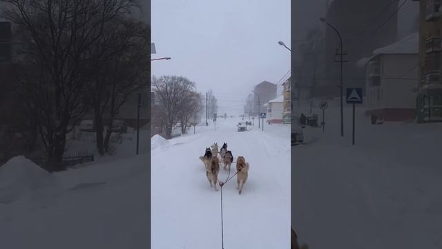 Стартуем 👍