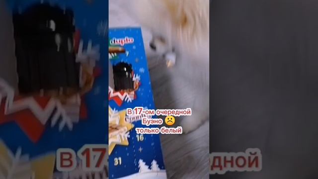 Адвент-календарь Kinder (дни 15-19)