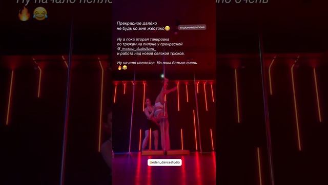 Exotic pole dance Каменская Наталья. Eden dance studio 170125 (1)