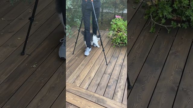 Кадры со съемок рекламы. Помогаю спикеру #съемки #видео #эксперт #маркетинг #сценарий