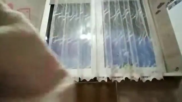 Школьное утро. Ожидание/реальность