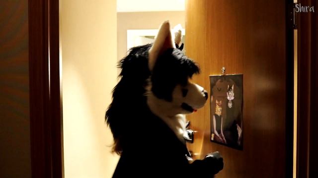 BRASIL FURFEST 2024 - HOTEL ASSOMBRADO