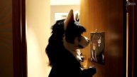 BRASIL FURFEST 2024 - HOTEL ASSOMBRADO